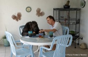 Cheeta the chimpanzee  during meal time with owner and caretaker Dan Westfall. Cheeta, believed to be the world's oldest living primate, was thought for a long time to be one the chimpanzees that appeared in the 1930's and 1940's Tarzan movies starring Johnny Weissmuller  and Maureen O'Sullivan. Cheeta, a male chimpanzee,  now lives happily at the C.H.E.E.T.A Primate Foundation in Palm Springs, California, a home for primates who have retired from the movie industry and the show business.