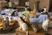 Founder Lynea Lattanzio with dozens of cats inside the main living room at The Cat House on the Kings in Parlier, CA, on May 11, 2012.  The Cat House on The Kings is a sanctuary for cats that was started by Lynea Lattanzio in her own house. There are now over 700 cats on the 12-acre property.