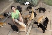 Founder Lynea Lattanzio at The Cat House on the Kings in Parlier, CA, on May 11, 2012.  The Cat House on The Kings is a sanctuary for cats that was started by Lynea Lattanzio in her own house. There are now over 700 cats on the 12-acre property.