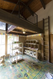 One of the original bedrooms converted into a cat room at The Cat House on the Kings in Parlier, CA, on May 11, 2012.  The Cat House on The Kings is a sanctuary for cats that was started by Lynea Lattanzio in her own house. There are now over 700 cats on the 12-acre property.