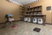 One of the original bedrooms converted into a cat room at The Cat House on the Kings in Parlier, CA, on May 11, 2012.  The Cat House on The Kings is a sanctuary for cats that was started by Lynea Lattanzio in her own house. There are now over 700 cats on the 12-acre property.