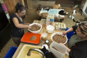 Two employees prepare the cat food for the day at The Cat House on the Kings in Parlier, CA, on May 11, 2012.  The Cat House on The Kings is a sanctuary for cats that was started by Lynea Lattanzio in her own house. There are now over 700 cats on the 12-acre property.