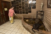 Thorough cleaning and disinfecting is done every single day at The Cat House on the Kings in Parlier, CA. The Cat House on The Kings is a sanctuary for cats that was started by Lynea Lattanzio in her own house. There are now over 700 cats on the 12-acre property.