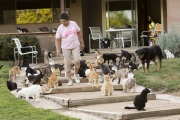 Founder Lynea Lattanzio among dozens of cats at The Cat House on the Kings in Parlier, CA, on May 10, 2012.  The Cat House on The Kings is a sanctuary for cats that was started by Lynea Lattanzio in her own house. There are now over 700 cats on the 12-acre property.