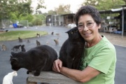 Founder Lynea Lattanzio at The Cat House on the Kings in Parlier, CA, on May 11, 2012.  The Cat House on The Kings is a sanctuary for cats that was started by Lynea Lattanzio in her own house. There are now over 700 cats on the 12-acre property.