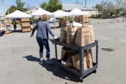 A volunteer pulls a cart loaded with bags of food at the Alameda Food Bank distribution center in Alameda, CA, on April 15, 2019. The food was distributed through a drive-through to people in need following the loss of their jobs due to the “shelter-in-place” order to limit the spread of the coronavirus SARS-CoV-2.