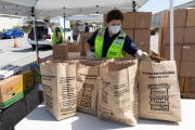 A volunteer with  bags of food ready to be given away at the Alameda Food Bank distribution center in Alameda, CA, on April 15, 2019. The food was distributed through a drive-through to people in need following the loss of their jobs due to the “shelter-in-place” order to limit the spread of the coronavirus SARS-CoV-2.