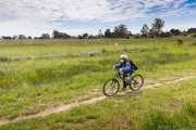 A young boy wearing a mask for protection against  the coronavirus (COVID-19) rides his bicycle in the town of Bolinas, CA, on April 20, 2020.   
For the first time since the coronavirus pandemic hit the U.S., an entire town is attempting to test its entire population (1,600), regardless of whether or not someone is showing symptoms,  for  active viral infections  and also for antibodies to detect if people had previously been exposed to the virus, The testing was part of a research project put together by the Marin County community of Bolinas and the University of California San Francisco (UCSF). Residents raised more than $300,000 to buy testing materials and set up the site.  Venture capitalist Jyri Engstrom and UCSF doctor Aenor Sawyer were two to the organizers.