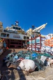 Plastic debris collected from the ocean are piled on the deck of The Ocean Cleanup's support vessel docked in San Francisco, CA, on September 6, 2024. This haul is part of the organization's ongoing mission to rid the world's oceans of plastic waste through innovative, large-scale cleanup technologies.
The Ocean Cleanup, founded by Boyan Slat in 2013, is an international non-profit focused on developing scalable technologies to remove plastic from the world’s oceans. The organization employs around 140 people and is headquartered in Rotterdam, the Netherlands.