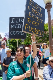 Protesters in downtown San Rafael, CA, on June 14, 2025, rallied under the banner of the “No Kings” protest, voicing opposition to President Donald Trump and what they view as authoritarian tendencies in American politics. Demonstrators carried signs and delivered speeches calling for the defense of democratic institutions and the rejection of political figures perceived as undermining them.