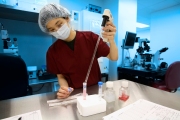Embryologist Queenie Yeung prepares the culture media that will be placed in an incubator the day before any scheduled patient treatment to allow the media to equilibrate to the correct temperature and pH by the time of the patient treatment. 
The Fertility Institutes uses Preimplantation Genetic Diagnosis (PGD) technology in conjunction with in-vitro fertilization to help couples to choose the sex of their future babies with a 99% success rate.