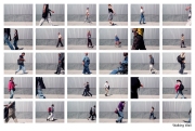 23-Walking-Wall